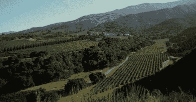 蒙特利县产区的气候和葡萄酒风格很大程度上受到地形地质的影响