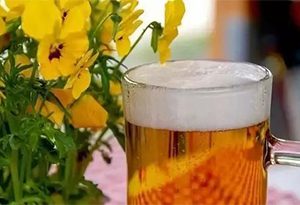 酒知识：用啤酒浇花，叶子焉了怎么办？
