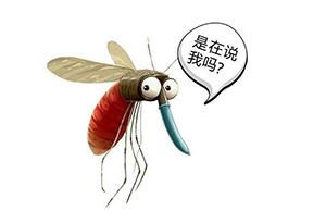 酒知识：啤酒为什么能吸引蚊子？