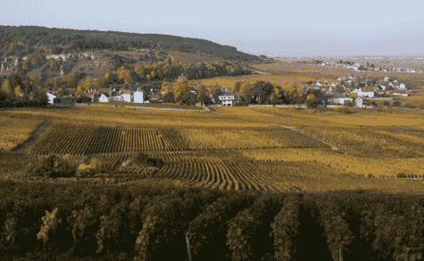 香波-慕西尼葡萄酒产区位于法国勃艮第夜丘