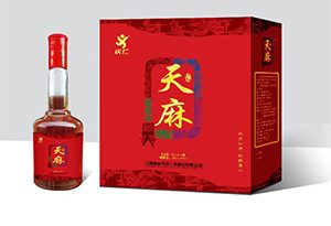 酒知识：天麻酒怎么泡？天麻泡酒的功效与作用