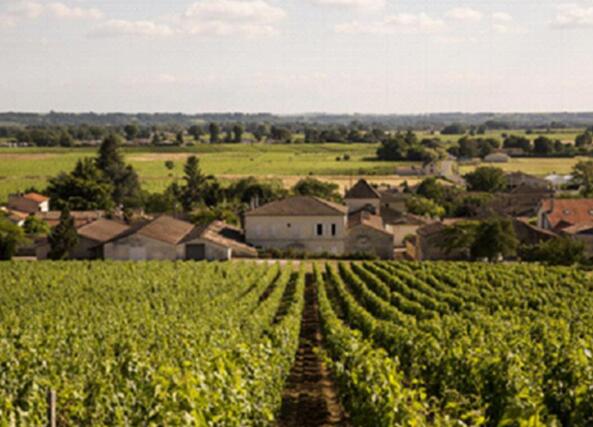 酒知识：十大著名法国葡萄酒产区，每个产区的代表红酒一定要品尝