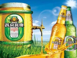 酒知识：燕京啤酒的市场分析
