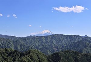 酒知识：别以为日本只有啤酒、清酒，葡萄酒早有百多年历史