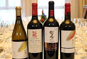 酒知识：中国葡萄酒的黑马—宁夏葡萄酒