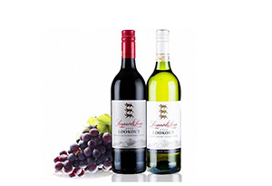 酒知识：最佳保存葡萄酒的方法及侍酒温度