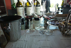 酒知识：Barolo–意大利「葡萄酒之王」