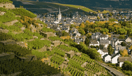 阿尔产区是德国最具特色的红葡萄酒产地