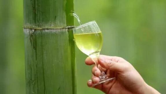 酒知识：竹筒酒是怎么装进去的，竹子/酒母/时间都有严苛要求产量很低