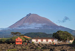 火山葡萄酒