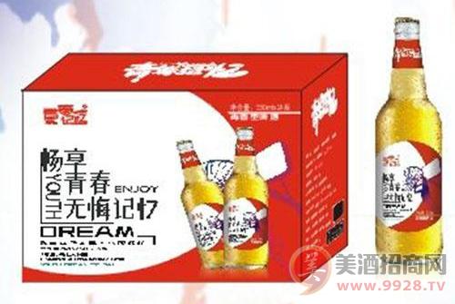 青春记忆啤酒