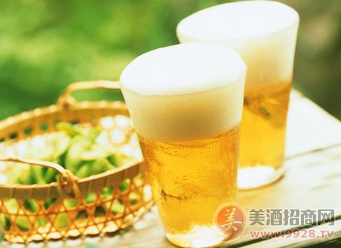 灌装啤酒：角力啤酒中高端 啤酒新成长周期有哪些趋势？