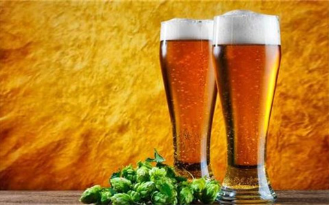 原浆啤酒：8家世界知名啤酒品牌签约青岛国际啤酒节
