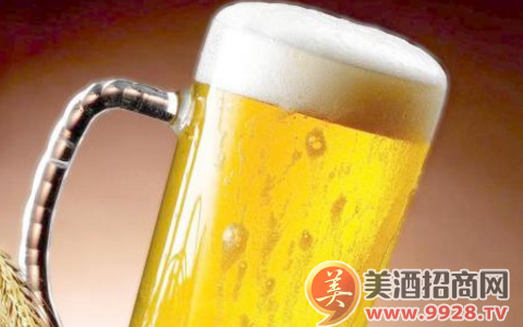 啤酒知识：行业预测：2018-2022年中国啤酒业发展将呈波段上行