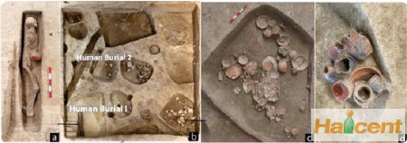 啤酒要闻：浙江义乌桥头遗址中发现9000年前南方人喝啤酒证据