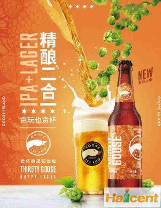 啤酒百科：鹅岛中国团队推出新品“贪杯鹅酒花拉格”