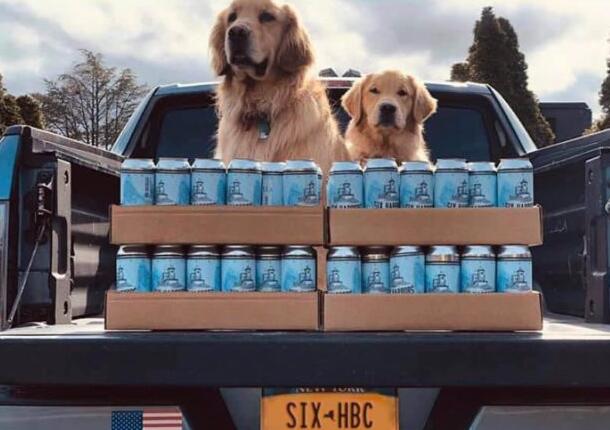 纽约啤酒厂使用狗狗运送啤酒
